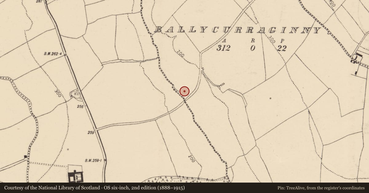 Ordnance Survey six-inch map, 2nd edition (1888–1915) covering the location of Mill - unclassified, Ballycurraginny, County Cork, with a pin at the register's coordinates