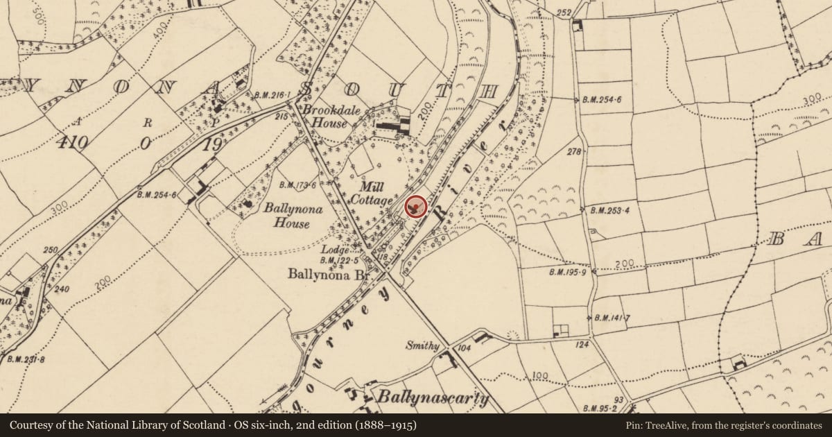 Ordnance Survey six-inch map, 2nd edition (1888–1915) covering the location of Mill - corn, Ballynona South, County Cork, with a pin at the register's coordinates