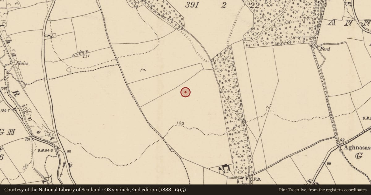 Ordnance Survey six-inch map, 2nd edition (1888–1915) covering the location of Enclosure, Deer Park, County Cork, with a pin at the register's coordinates