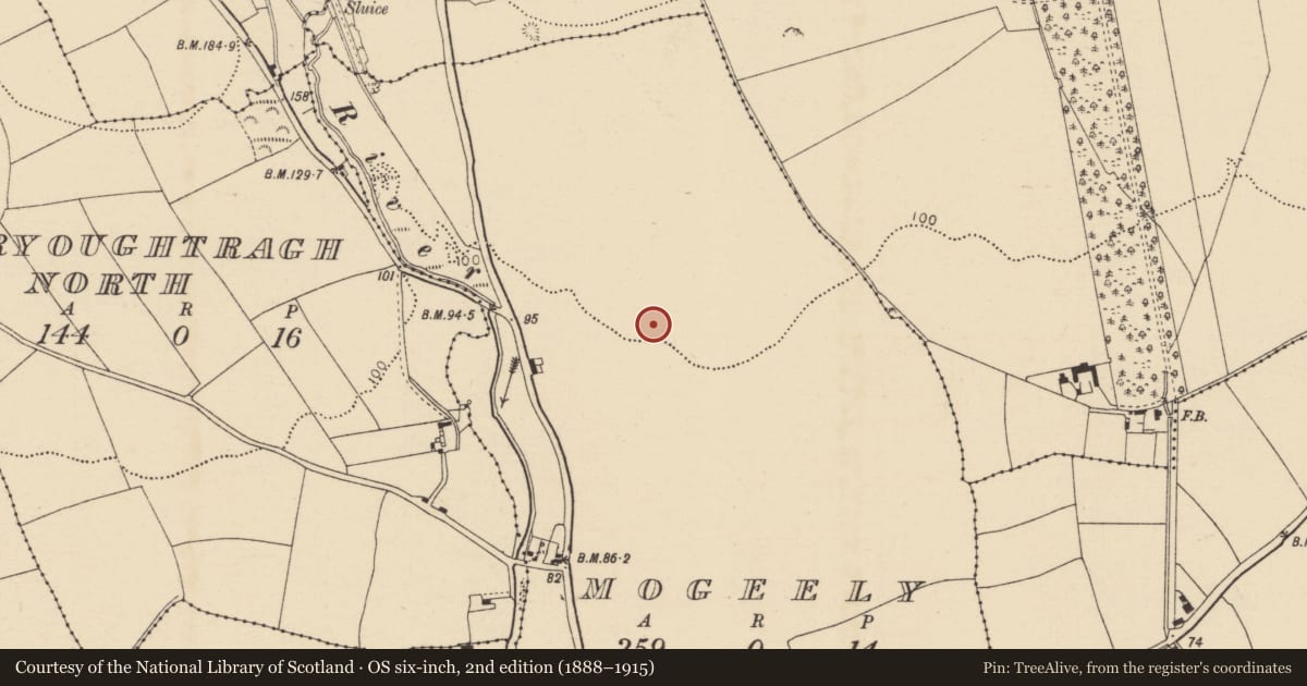 Ordnance Survey six-inch map, 2nd edition (1888–1915) covering the location of Enclosure, Mogeely, County Cork, with a pin at the register's coordinates