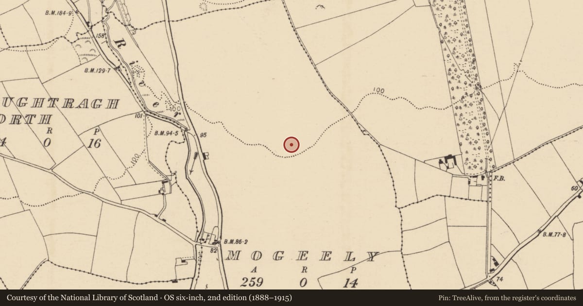 Ordnance Survey six-inch map, 2nd edition (1888–1915) covering the location of Enclosure, Mogeely, County Cork, with a pin at the register's coordinates