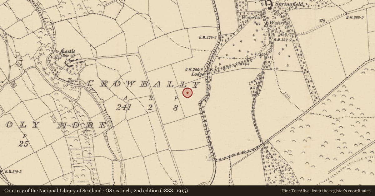 Ordnance Survey six-inch map, 2nd edition (1888–1915) covering the location of Enclosure, Crowbally, County Cork, with a pin at the register's coordinates