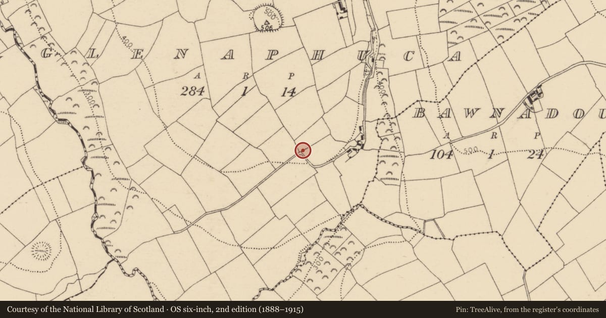 Ordnance Survey six-inch map, 2nd edition (1888–1915) covering the location of Souterrain, Glenaphuca, County Cork, with a pin at the register's coordinates