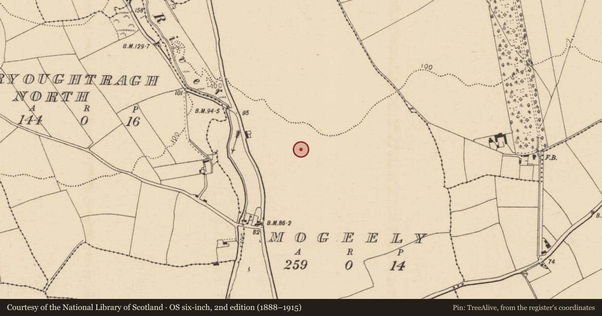Ordnance Survey six-inch map, 2nd edition (1888–1915) covering the location of Road - road/trackway, Mogeely, County Cork, with a pin at the register's coordinates