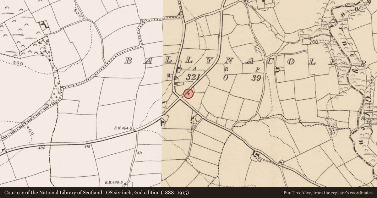 Ordnance Survey six-inch map, 2nd edition (1888–1915) covering the location of Fulacht fia, Ballynacole, County Cork, with a pin at the register's coordinates