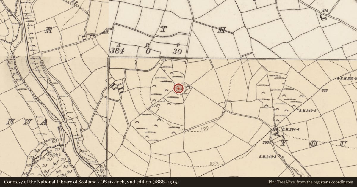 Ordnance Survey six-inch map, 2nd edition (1888–1915) covering the location of Hillfort, Rath, County Cork, with a pin at the register's coordinates