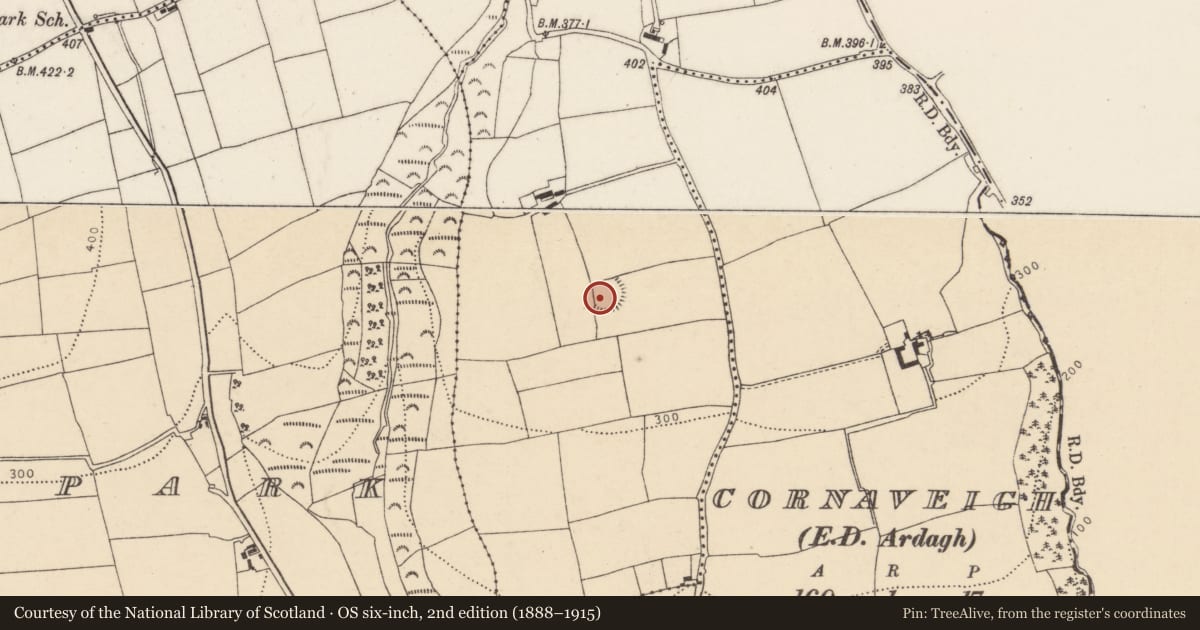 Ordnance Survey six-inch map, 2nd edition (1888–1915) covering the location of Ringfort - rath, Ballyglavin, County Cork, with a pin at the register's coordinates
