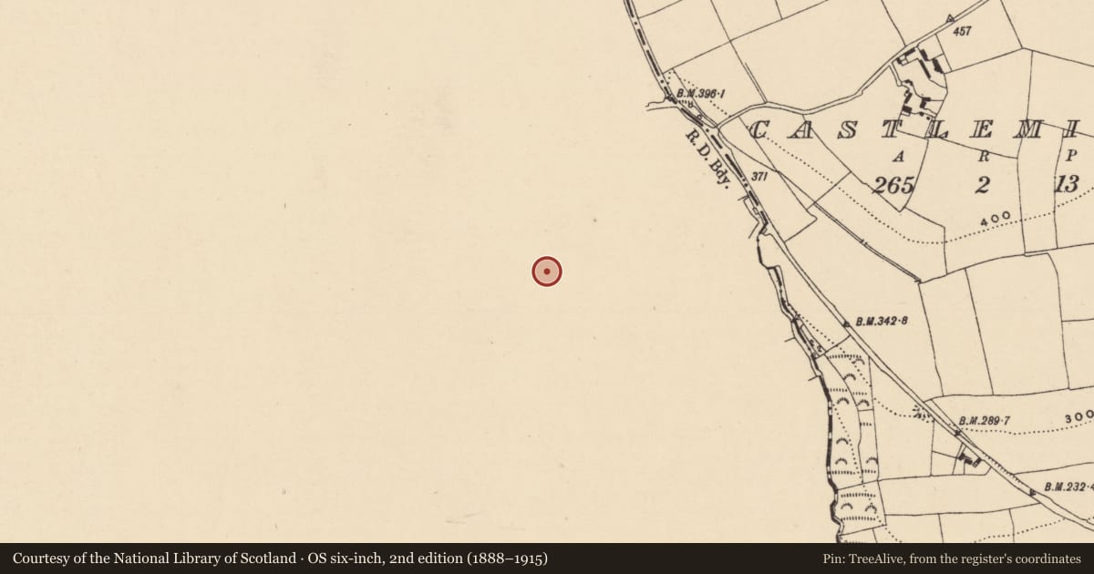 Ordnance Survey six-inch map, 2nd edition (1888–1915) covering the location of Ringfort - rath, Cornaveigh (Imokilly By., Ardagh Par.), County Cork, with a pin at the register's coordinates