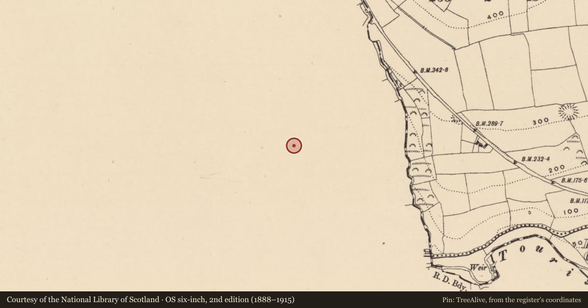 Ordnance Survey six-inch map, 2nd edition (1888–1915) covering the location of Souterrain, Cornaveigh (Imokilly By., Ardagh Par.), County Cork, with a pin at the register's coordinates