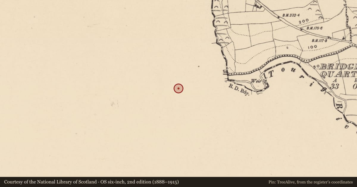 Ordnance Survey six-inch map, 2nd edition (1888–1915) covering the location of Castle - tower house, Cornaveigh (Imokilly By., Clonpriest Par.), County Cork, with a pin at the register's coordinates