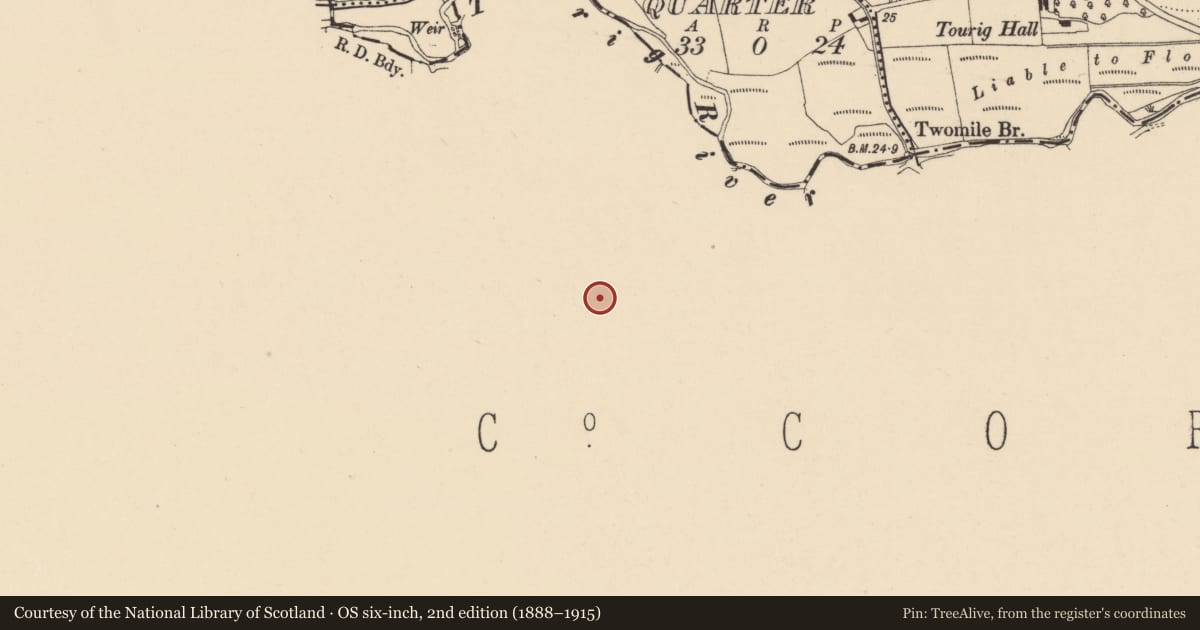 Ordnance Survey six-inch map, 2nd edition (1888–1915) covering the location of Castle - tower house, Kilnatoora, County Cork, with a pin at the register's coordinates