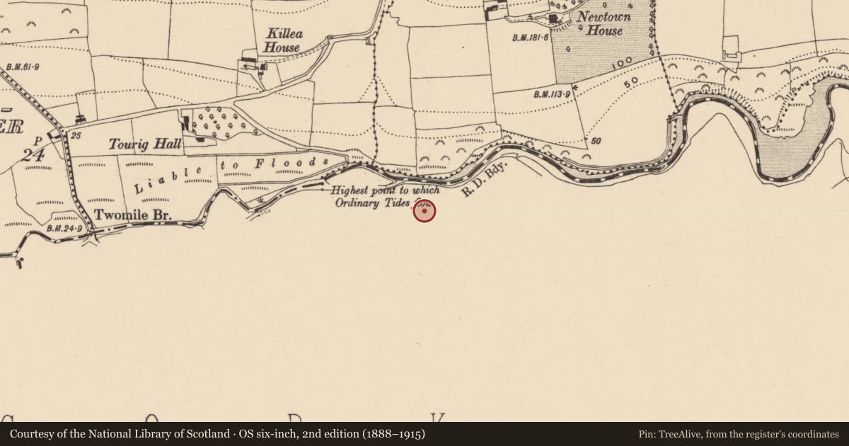 Ordnance Survey six-inch map, 2nd edition (1888–1915) covering the location of Pottery works, Curraghboy, County Cork, with a pin at the register's coordinates