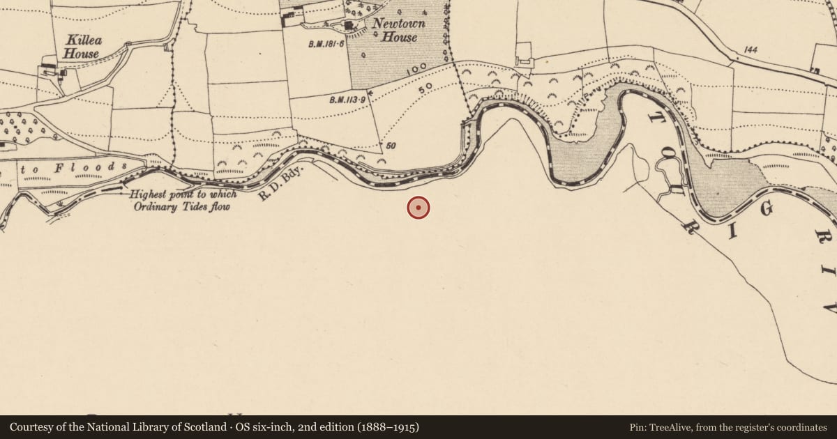 Ordnance Survey six-inch map, 2nd edition (1888–1915) covering the location of Pottery works, Kilmagner, County Cork, with a pin at the register's coordinates