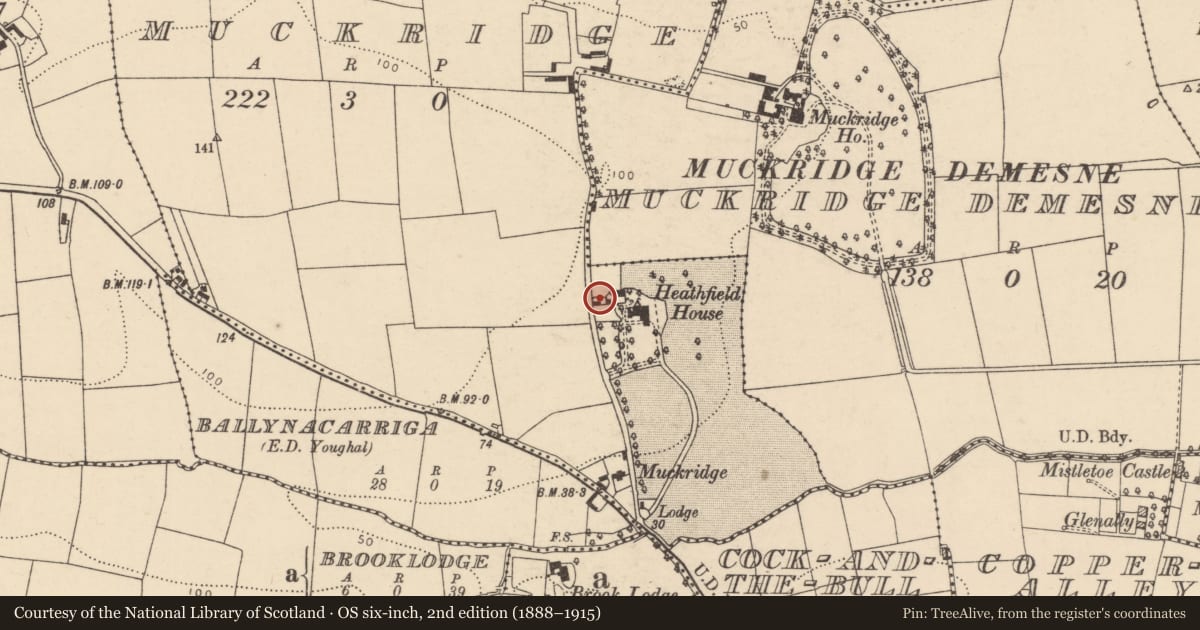 Ordnance Survey six-inch map, 2nd edition (1888–1915) covering the location of Pottery works, Muckridge, County Cork, with a pin at the register's coordinates