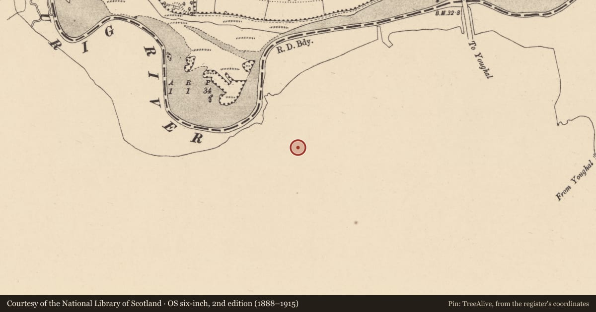 Ordnance Survey six-inch map, 2nd edition (1888–1915) covering the location of Brickworks, Muckridge, County Cork, with a pin at the register's coordinates