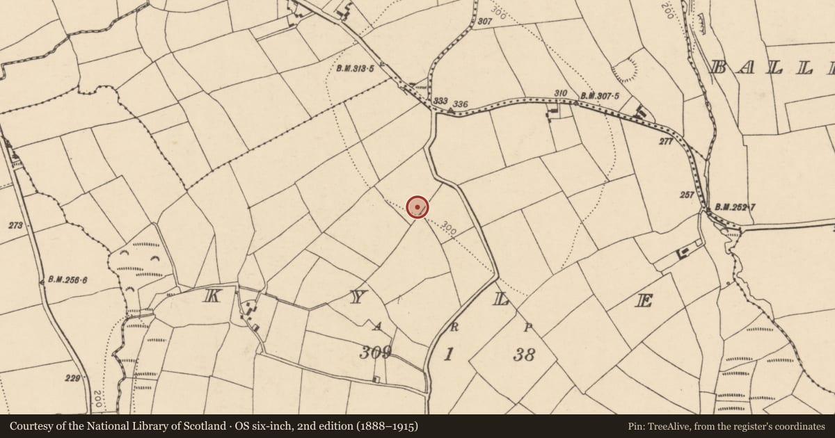 Ordnance Survey six-inch map, 2nd edition (1888–1915) covering the location of Ringfort - rath, Kyle, County Cork, with a pin at the register's coordinates