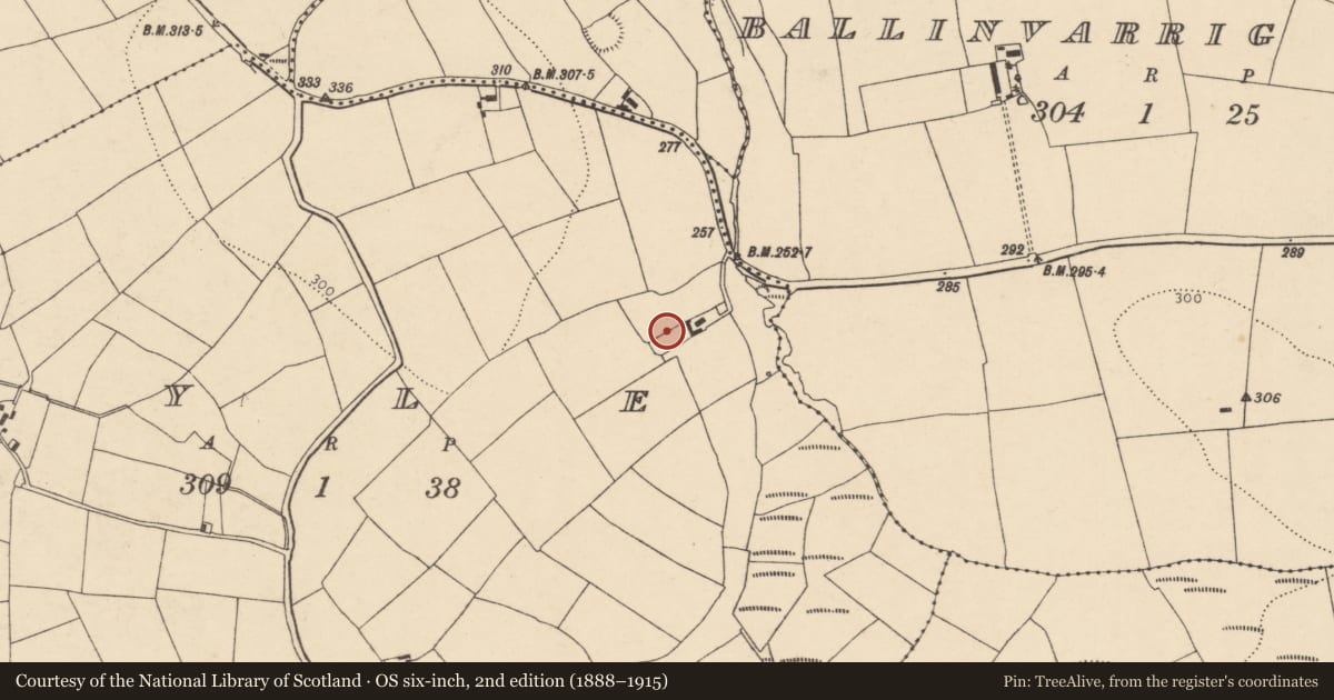 Ordnance Survey six-inch map, 2nd edition (1888–1915) covering the location of Ringfort - rath, Kyle, County Cork, with a pin at the register's coordinates