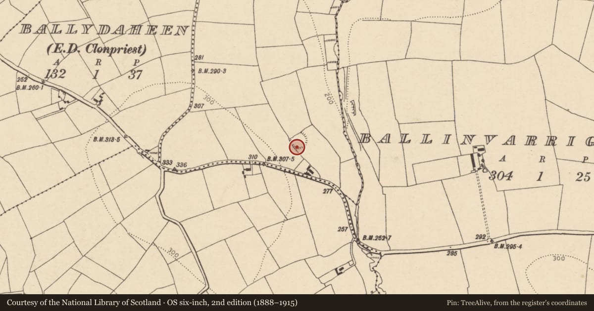 Ordnance Survey six-inch map, 2nd edition (1888–1915) covering the location of Ringfort - rath, Clasheel, County Cork, with a pin at the register's coordinates
