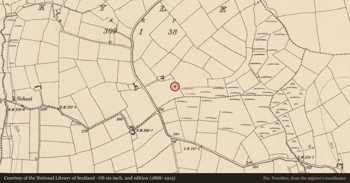 Ordnance Survey six-inch map, 2nd edition (1888–1915) covering the location of Ringfort - rath, Kyle, County Cork, with a pin at the register's coordinates