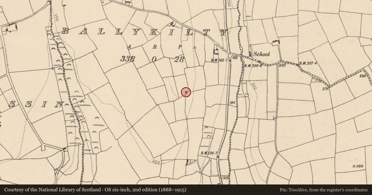 Ordnance Survey six-inch map, 2nd edition (1888–1915) covering the location of Ringfort - rath, Ballykilty, County Cork, with a pin at the register's coordinates