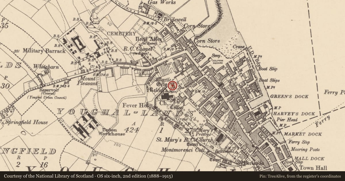Ordnance Survey six-inch map, 2nd edition (1888–1915) covering the location of House - 16th century, Youghal-Lands, County Cork, with a pin at the register's coordinates