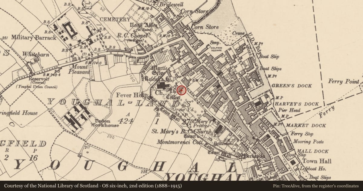 Ordnance Survey six-inch map, 2nd edition (1888–1915) covering the location of College, Youghal-Lands, County Cork, with a pin at the register's coordinates