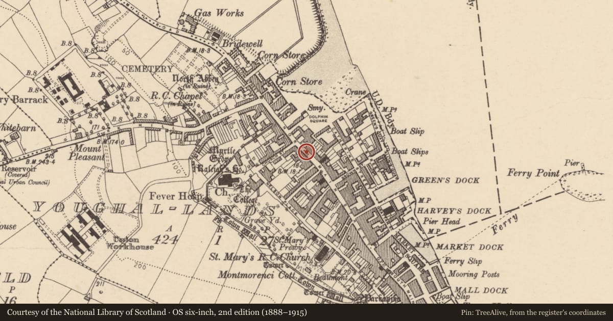 Ordnance Survey six-inch map, 2nd edition (1888–1915) covering the location of Castle - tower house, Youghal-Lands, County Cork, with a pin at the register's coordinates