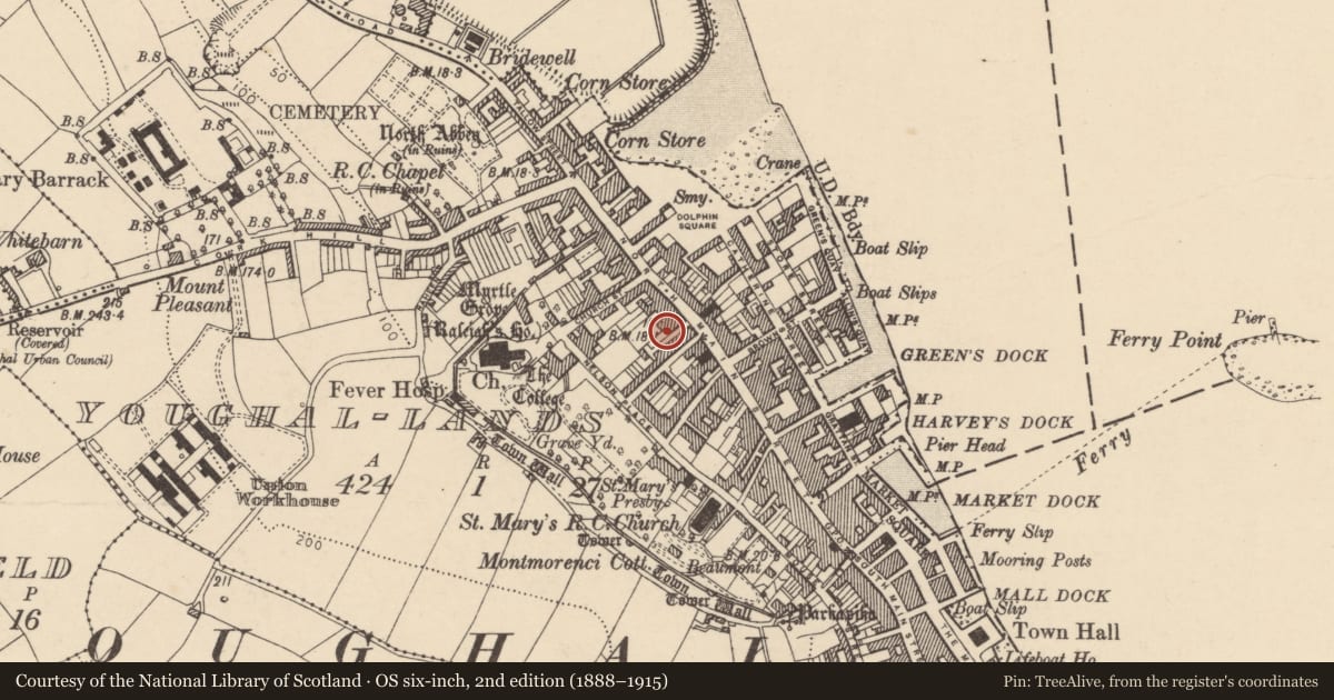 Ordnance Survey six-inch map, 2nd edition (1888–1915) covering the location of House - 18th/19th century, Youghal-Lands, County Cork, with a pin at the register's coordinates