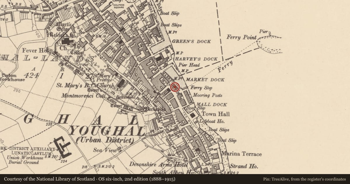 Ordnance Survey six-inch map, 2nd edition (1888–1915) covering the location of Market-house, Youghal-Lands, County Cork, with a pin at the register's coordinates
