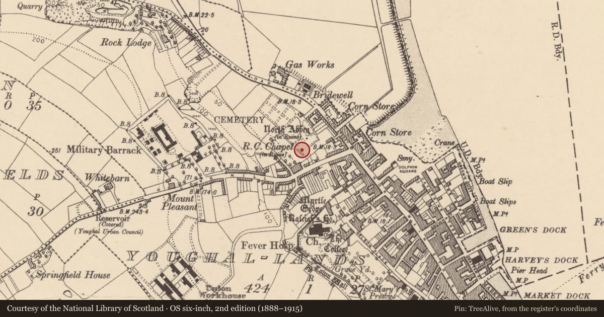 Ordnance Survey six-inch map, 2nd edition (1888–1915) covering the location of Graveyard, Youghal-Lands, County Cork, with a pin at the register's coordinates
