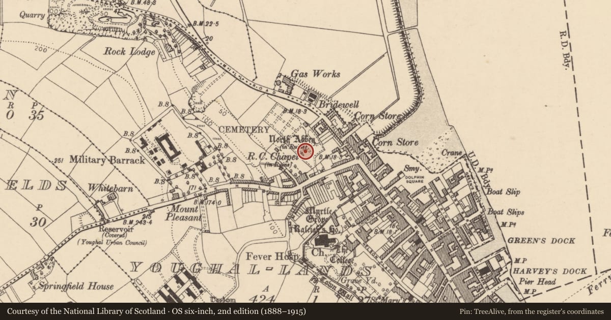 Ordnance Survey six-inch map, 2nd edition (1888–1915) covering the location of Religious house - Dominican friars, Youghal-Lands, County Cork, with a pin at the register's coordinates