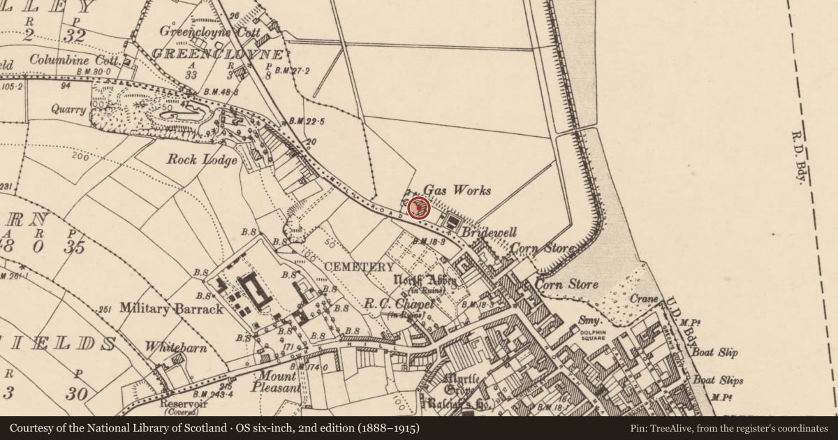 Ordnance Survey six-inch map, 2nd edition (1888–1915) covering the location of Gasworks, Youghal-Lands, County Cork, with a pin at the register's coordinates