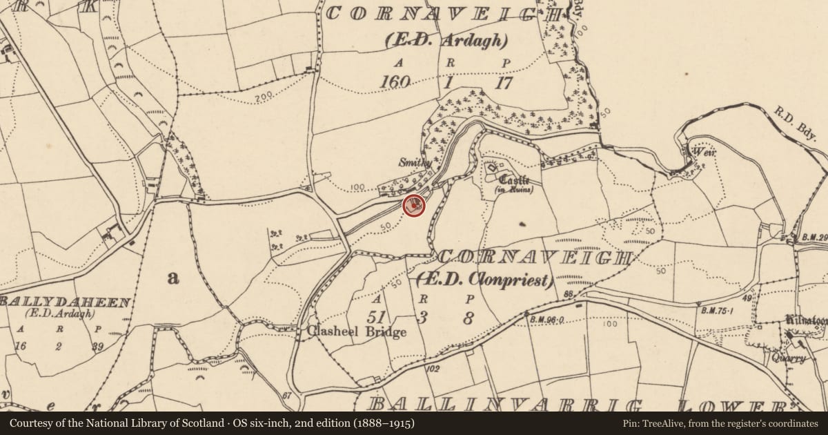 Ordnance Survey six-inch map, 2nd edition (1888–1915) covering the location of Mill - corn, Cornaveigh (Imokilly By., Ardagh Par.), County Cork, with a pin at the register's coordinates