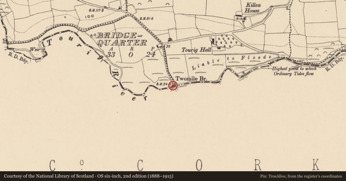 Ordnance Survey six-inch map, 2nd edition (1888–1915) covering the location of Bridge, Curraghboy, Kilnatoora, County Cork, with a pin at the register's coordinates