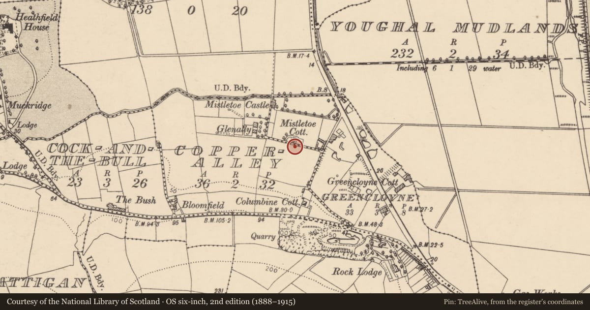 Ordnance Survey six-inch map, 2nd edition (1888–1915) covering the location of House - vernacular house, Greencloyne, County Cork, with a pin at the register's coordinates