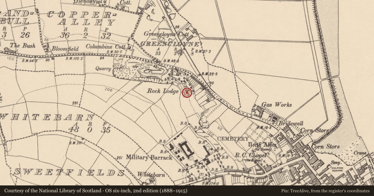 Ordnance Survey six-inch map, 2nd edition (1888–1915) covering the location of Country house, Youghal-Lands, County Cork, with a pin at the register's coordinates