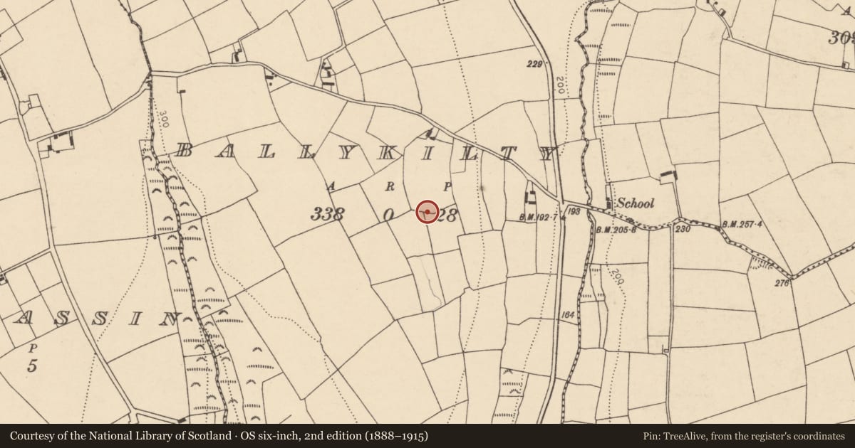 Ordnance Survey six-inch map, 2nd edition (1888–1915) covering the location of Enclosure, Ballykilty, County Cork, with a pin at the register's coordinates