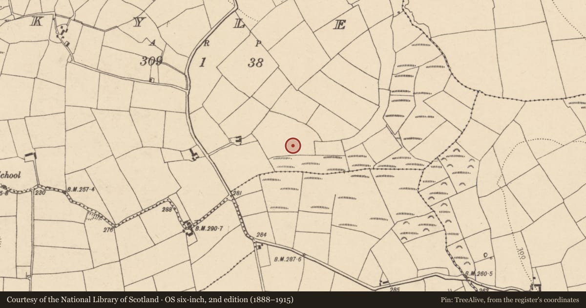 Ordnance Survey six-inch map, 2nd edition (1888–1915) covering the location of Enclosure, Kyle, County Cork, with a pin at the register's coordinates