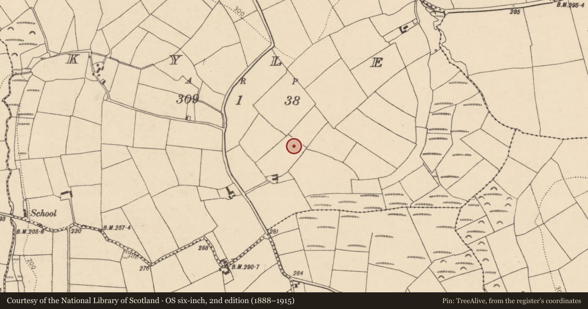 Ordnance Survey six-inch map, 2nd edition (1888–1915) covering the location of Enclosure, Kyle, County Cork, with a pin at the register's coordinates