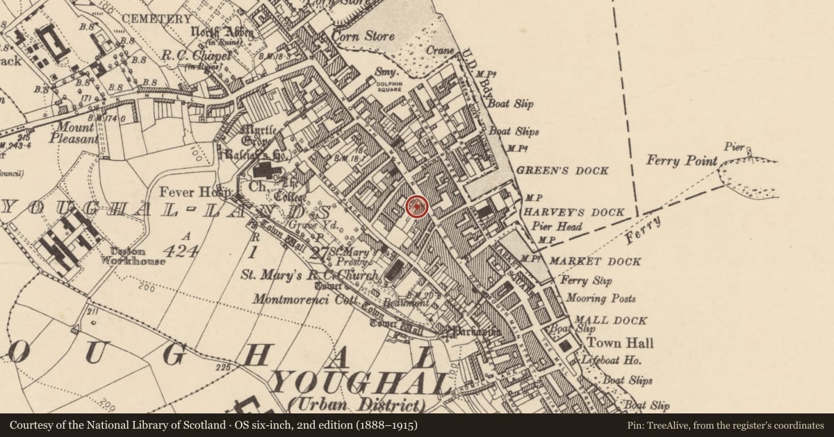 Ordnance Survey six-inch map, 2nd edition (1888–1915) covering the location of Castle - tower house, Youghal-Lands, County Cork, with a pin at the register's coordinates