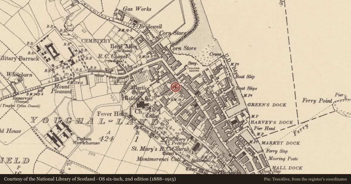 Ordnance Survey six-inch map, 2nd edition (1888–1915) covering the location of School, Youghal-Lands, County Cork, with a pin at the register's coordinates