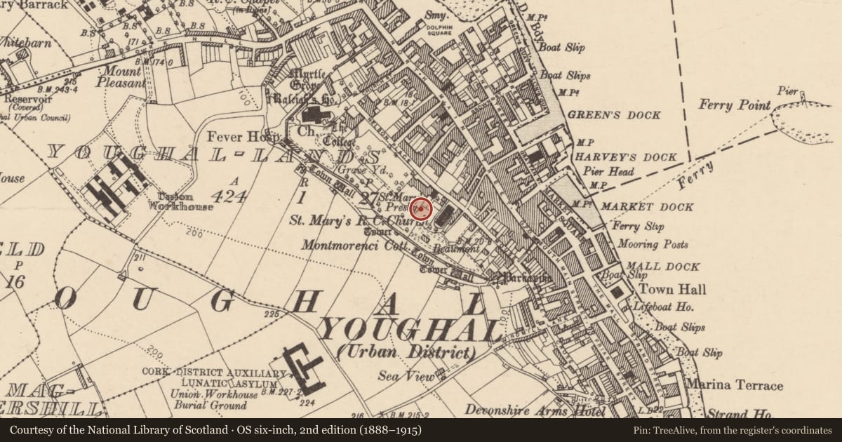 Ordnance Survey six-inch map, 2nd edition (1888–1915) covering the location of Graveyard, Youghal-Lands, County Cork, with a pin at the register's coordinates