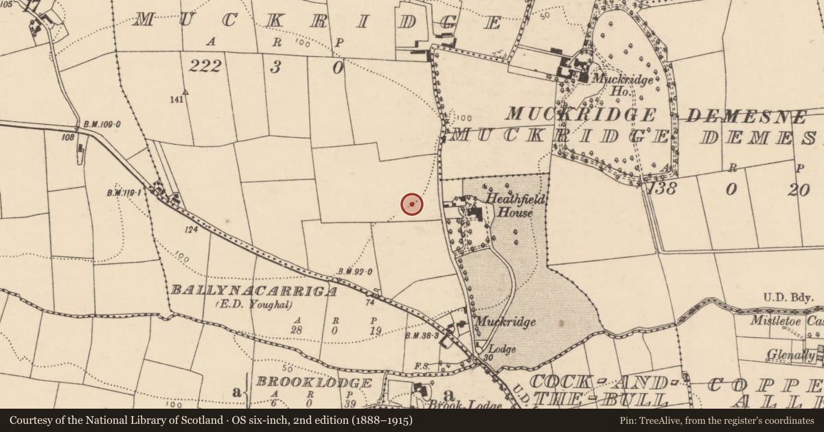 Ordnance Survey six-inch map, 2nd edition (1888–1915) covering the location of Structure, Muckridge, County Cork, with a pin at the register's coordinates