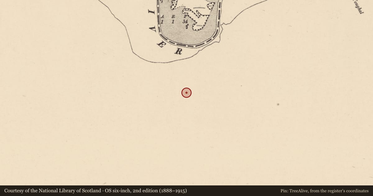 Ordnance Survey six-inch map, 2nd edition (1888–1915) covering the location of Fulacht fia, Muckridge, County Cork, with a pin at the register's coordinates
