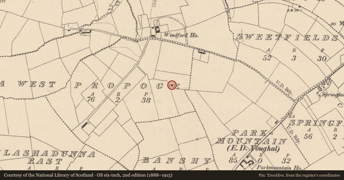 Ordnance Survey six-inch map, 2nd edition (1888–1915) covering the location of Fulacht fia, Propoge, County Cork, with a pin at the register's coordinates