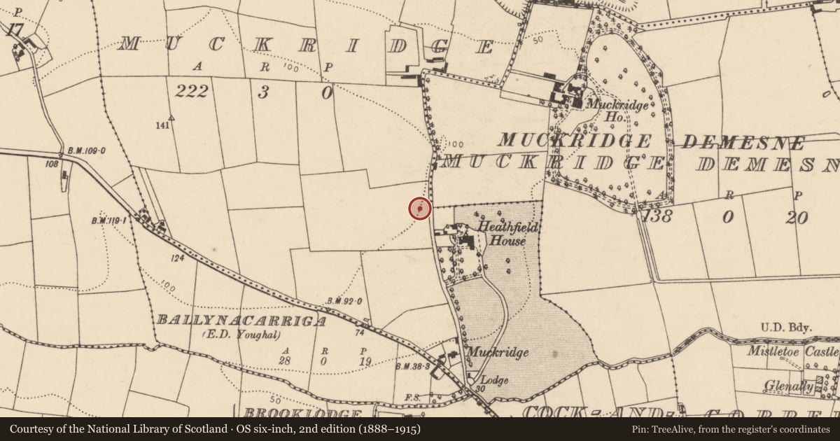 Ordnance Survey six-inch map, 2nd edition (1888–1915) covering the location of Pit - excavated, Muckridge, County Cork, with a pin at the register's coordinates