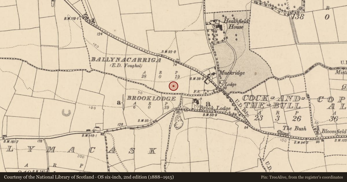 Ordnance Survey six-inch map, 2nd edition (1888–1915) covering the location of Enclosure, Ballynacarriga (Imokilly By., Youghal Par.), County Cork, with a pin at the register's coordinates