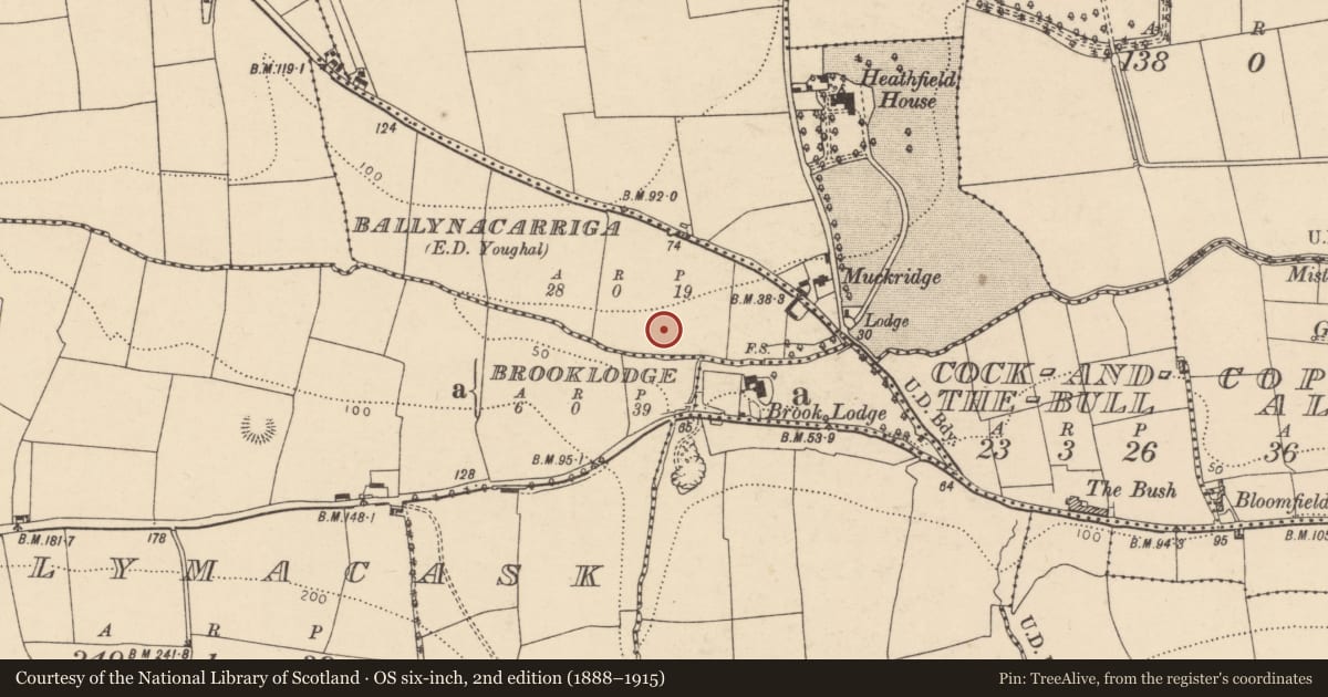Ordnance Survey six-inch map, 2nd edition (1888–1915) covering the location of Structure, Ballynacarriga (Imokilly By., Youghal Par.), County Cork, with a pin at the register's coordinates
