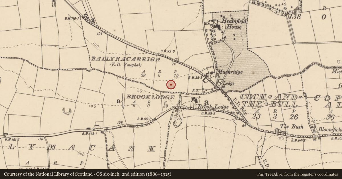 Ordnance Survey six-inch map, 2nd edition (1888–1915) covering the location of Souterrain, Ballynacarriga (Imokilly By., Youghal Par.), County Cork, with a pin at the register's coordinates