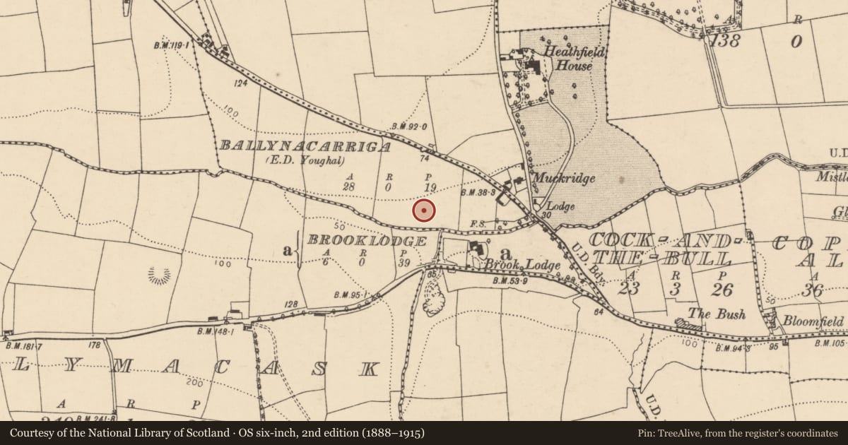 Ordnance Survey six-inch map, 2nd edition (1888–1915) covering the location of Souterrain, Ballynacarriga (Imokilly By., Youghal Par.), County Cork, with a pin at the register's coordinates